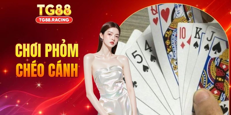Chơi Phỏm Chéo Cánh - Mẹo Đánh Bài Đỉnh Cao Từ Cao Thủ TG88