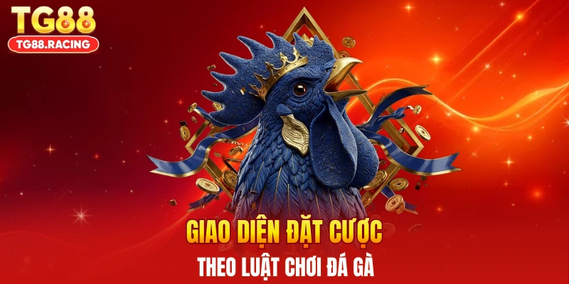 Giao diện đặt cược theo luật chơi đá gà