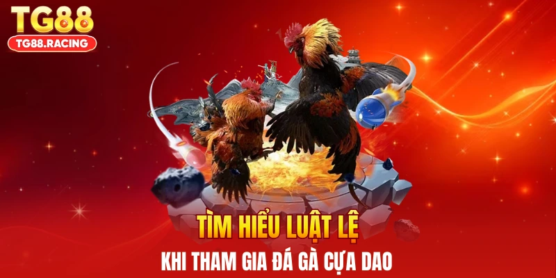 Tìm hiểu luật lệ khi tham gia đá gà cựa dao