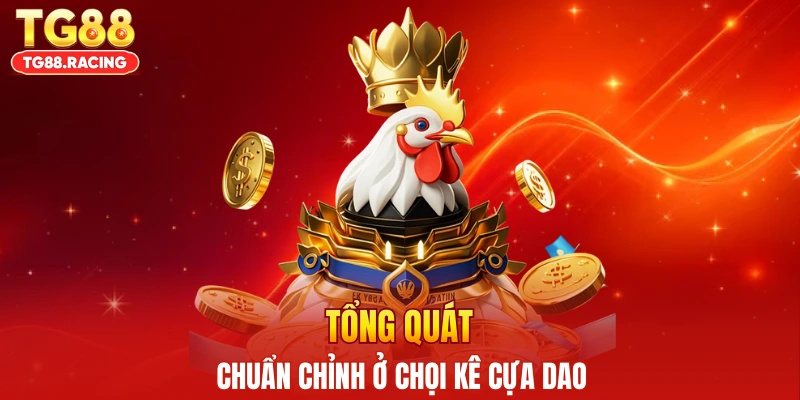 Tổng quát chuẩn chỉnh ở chọi kê cựa dao