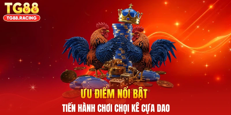 Ưu điểm nổi bật tiến hành chơi chọi kê cựa dao